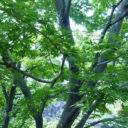 龜樂（気楽・きらく）の提供する癒しの空間