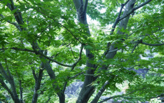 龜樂（気楽・きらく）の提供する癒しの空間